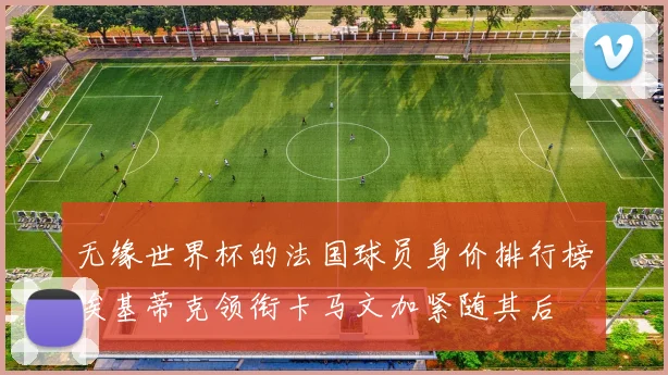 无缘世界杯的法国球员身价排行榜埃基蒂克领衔卡马文加紧随其后